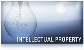 Intellectual Property Law, 2009: