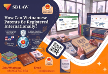How Can Vietnamese Patents Be Registered Internationally?