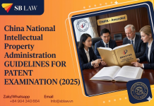 China National Intellectual Property Administration Amended GUIDELINES FOR PATENT EXAMINATION (2025)