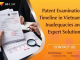 Patent Examination Timeline in Vietnam: Inadequacies and Expert Solutions