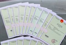 SBLAW Asserts Its Role as a Leading Intellectual Property Agent: Successfully Delivering a Multitude of Trademark Registration Certificates to Client